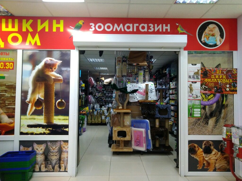 Кошкин дом | Брянск, ул. Федюнинского, 1, Брянск